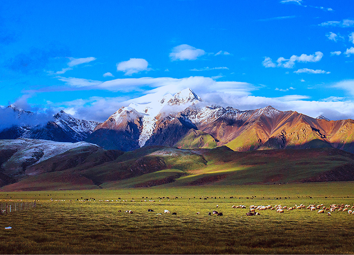 һ��һ��Ҫȥһ�εĵط�����������